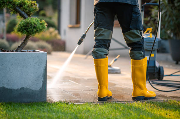 Best Pressure Washing Near Me  in Ashland, OH